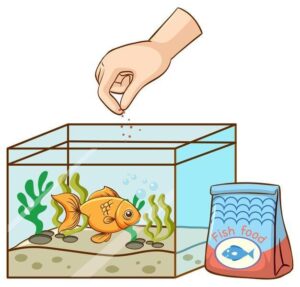 alimentação ideal para peixes ornamentais