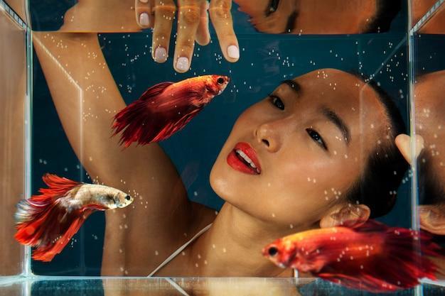 montagem de aquário temático: ideias criativas